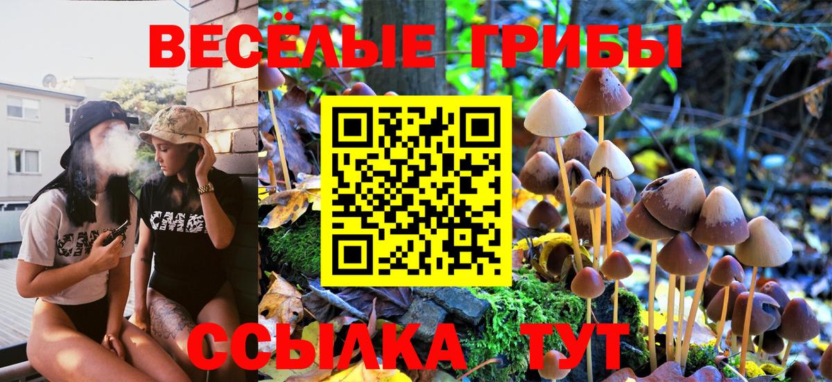 Канабис  Вход с VPN  Метамфетамин  А ПВП СОЛЬ кристаллы  Гашиш  Знаменск  Меф   Cocaine 