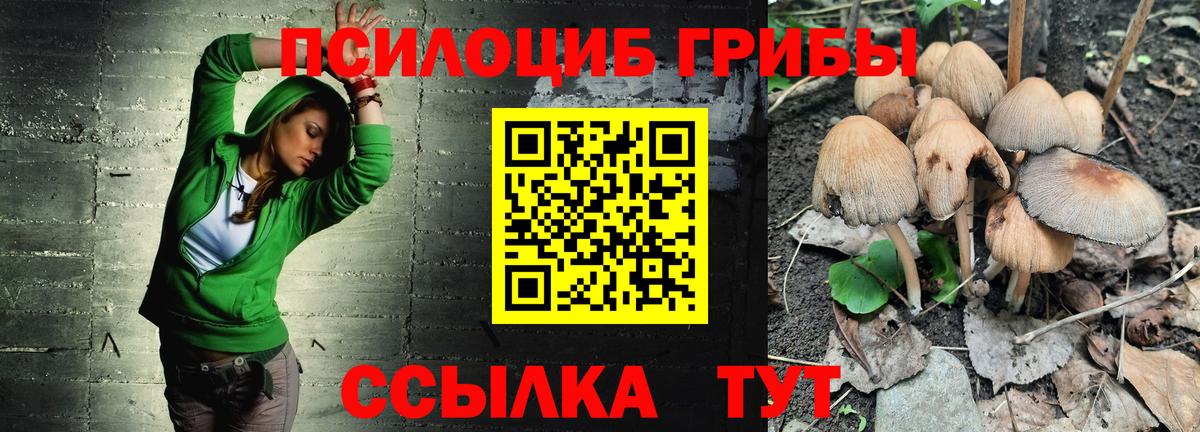 Знаменск  Галлюциногенные грибы MAGIC MUSHROOMS  купить   Вход с VPN 